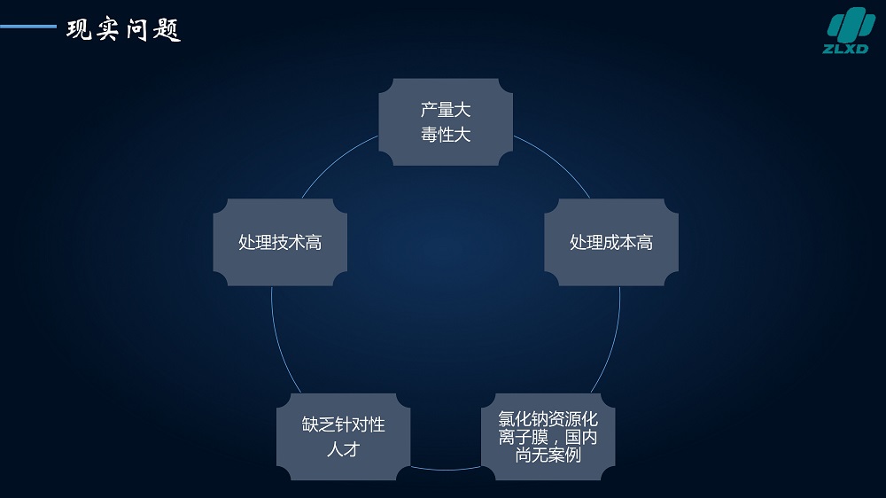 废盐资源化