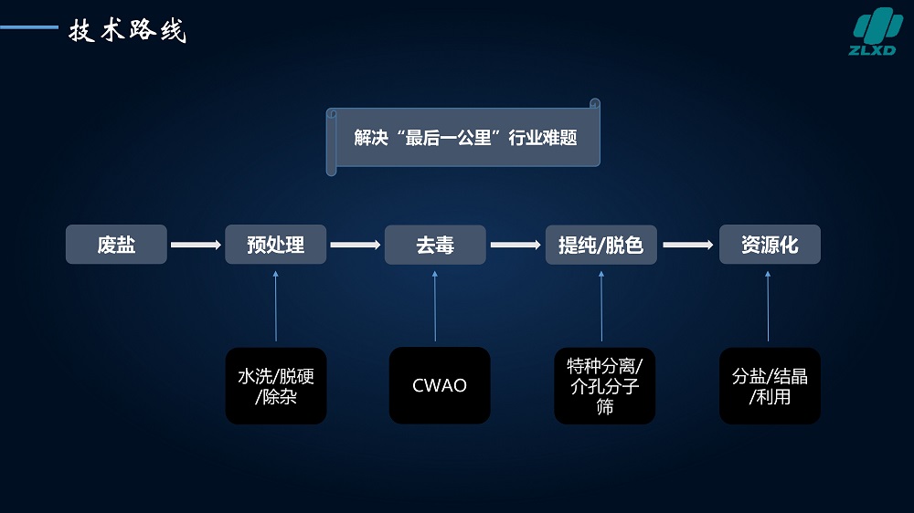 废盐资源化